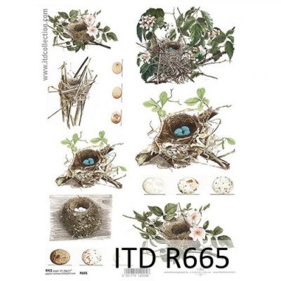 Ριζόχαρτο ITD 21X29.7cm_R665
